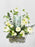 Asiaticus  Money Arrangement