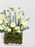 Asiaticus  Money Arrangement