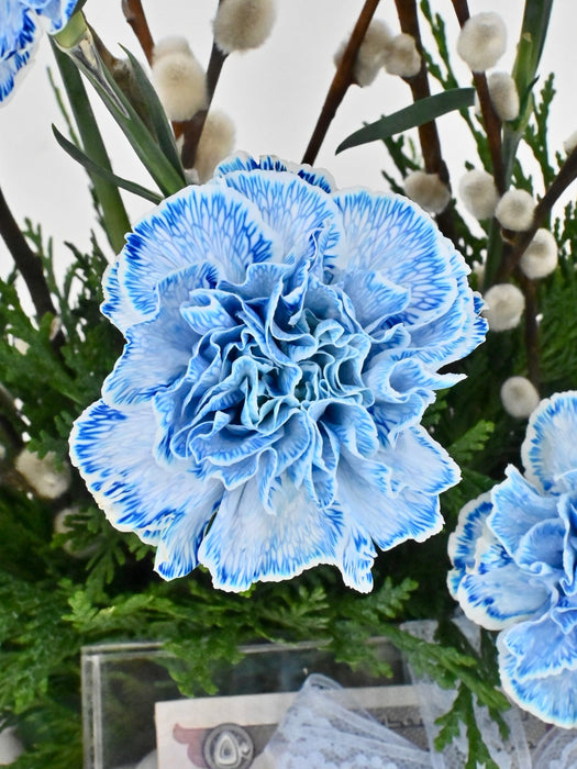 Baby Blue