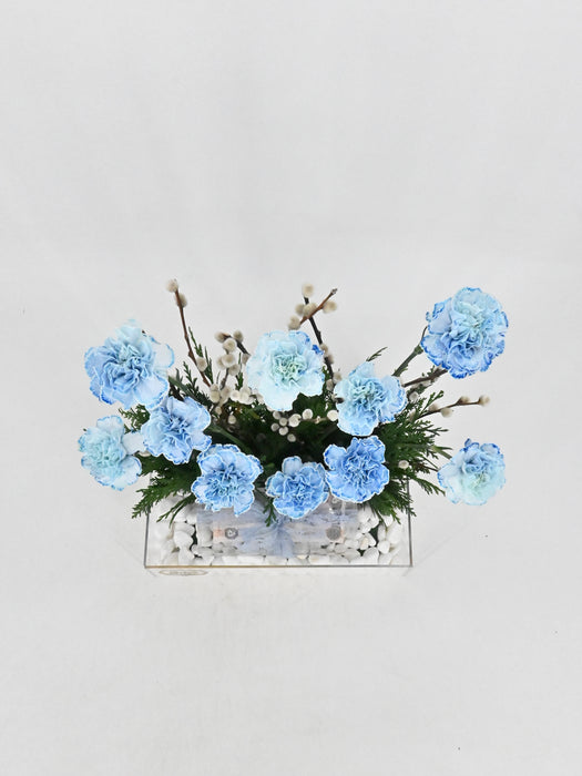 Baby Blue