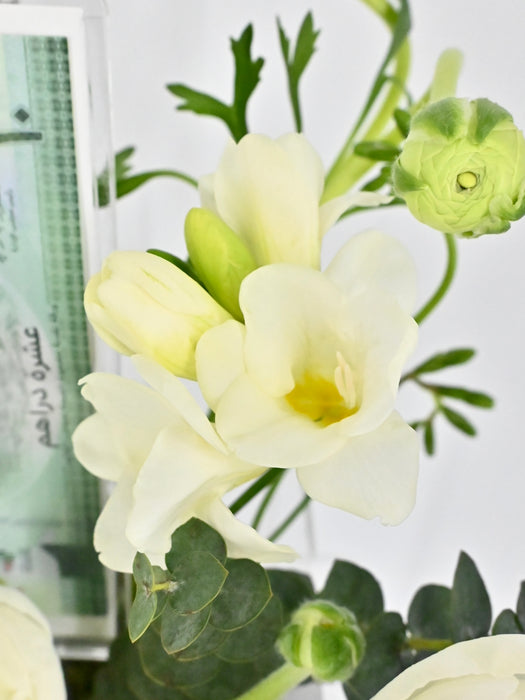 Asiaticus  Money Arrangement