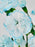 Dusty Blue Money Arrangement