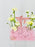 Cute Money Arrangement