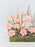 Peach Birthday Money Garden
