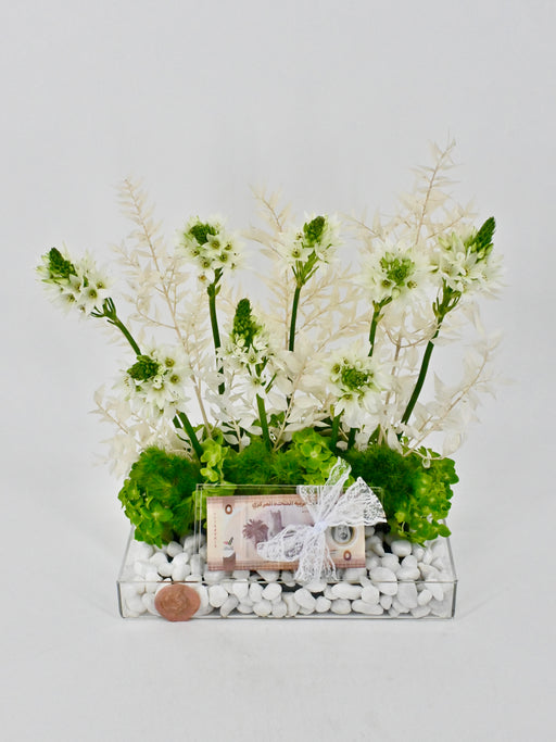 Orni Money Arrangement