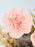 Peach Birthday Money Garden