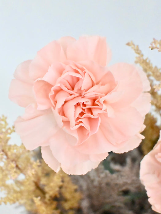 Peach Birthday Money Garden