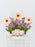 Cafe Delmar Money Arrangement