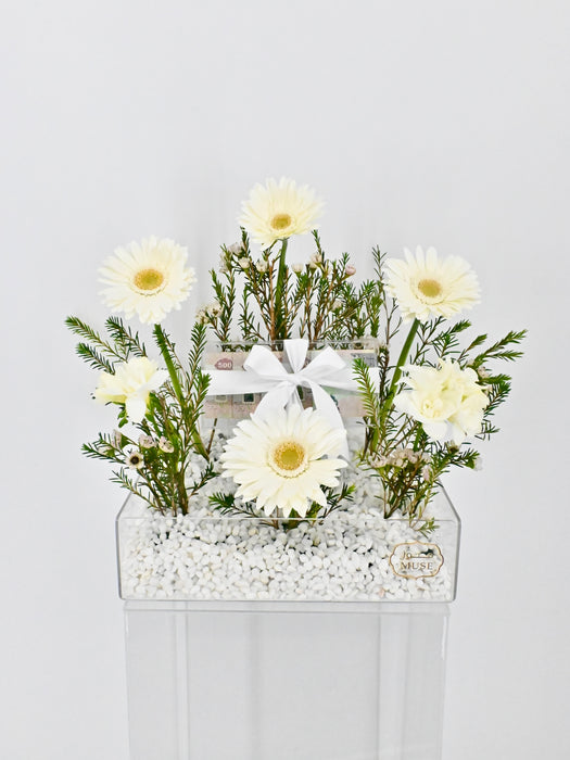 White Romance Money Arrangement