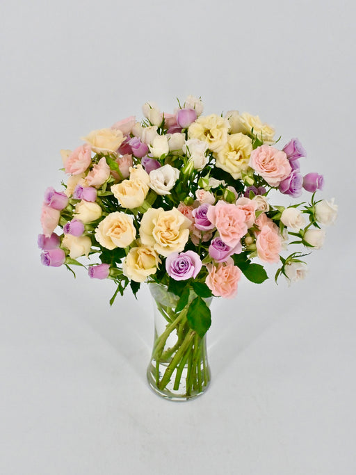 Pastel Beauty