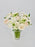 Ornithogalum Star
