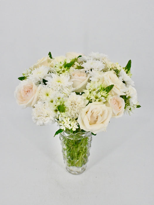 Ornithogalum Star