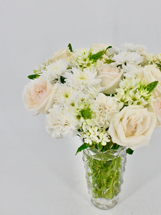 Ornithogalum Star