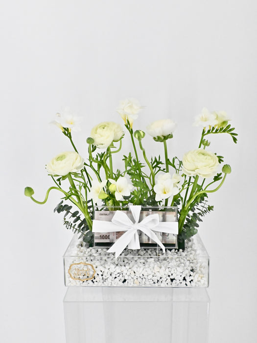 Freesia Money Garden