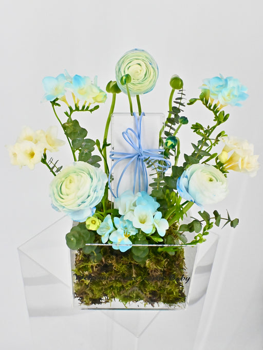 Fressia Blue Money Garden