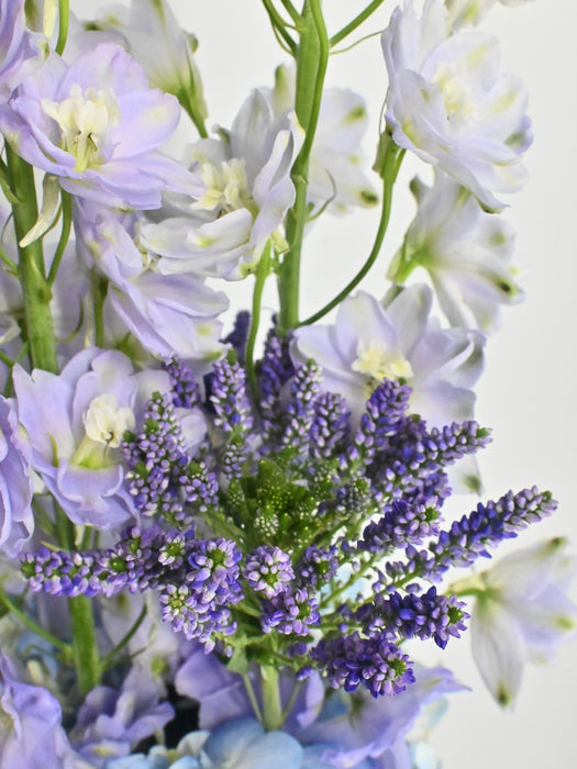 EID Blossom Serenity