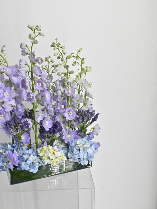 EID Blossom Serenity