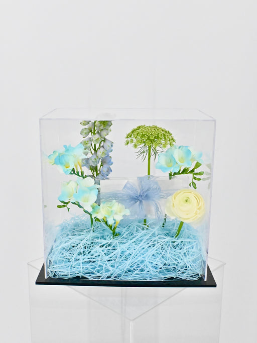 Cute Frezzi Money Box Arrangement