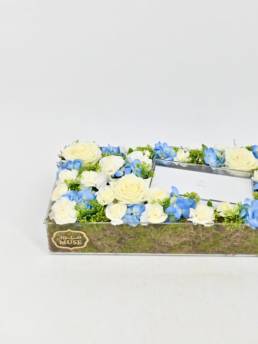 Snowy Blue Money Garden