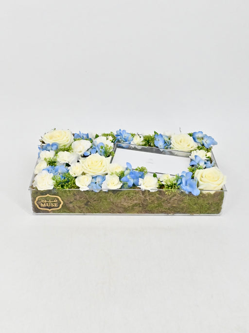 Snowy Blue Money Garden