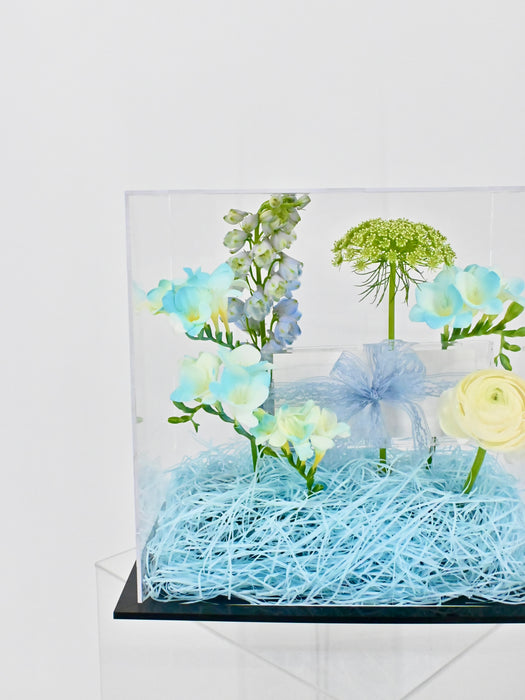 Cute Frezzi Money Box Arrangement