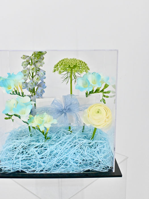 Cute Frezzi Money Box Arrangement