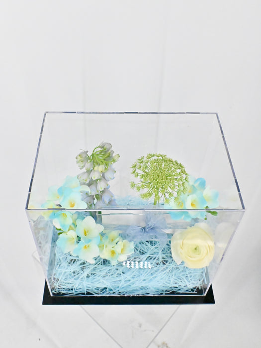 Cute Frezzi Money Box Arrangement