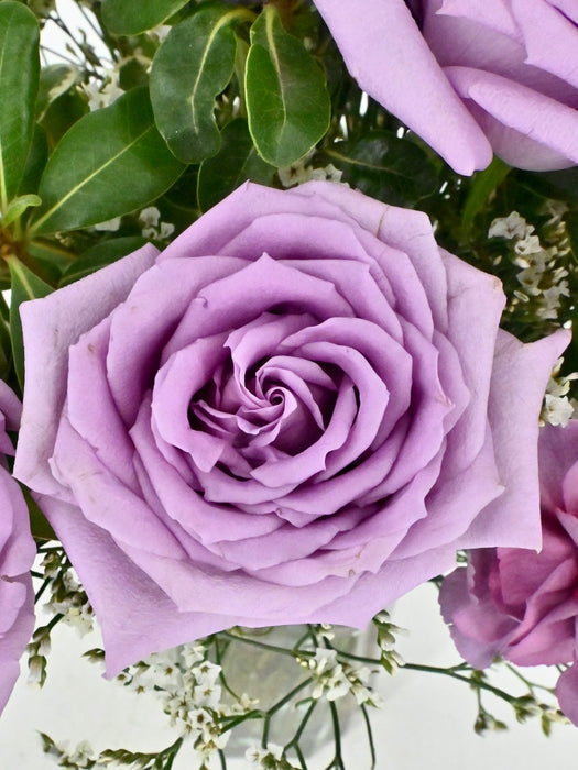 Violeta