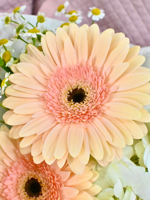 Delmar Bouquet