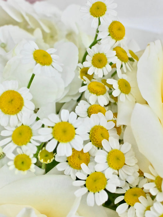Delmar Bouquet