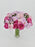Cerise Bloom
