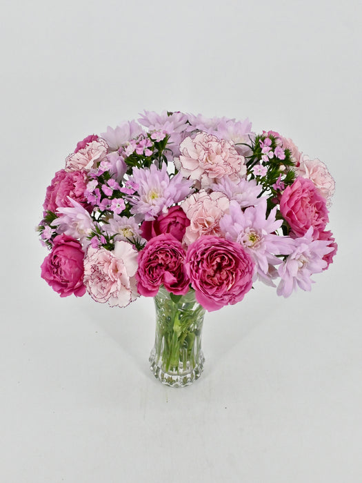 Cerise Bloom