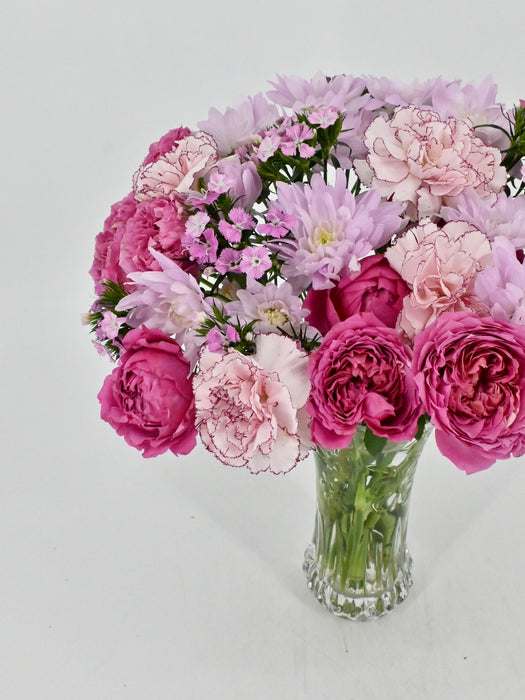 Cerise Bloom