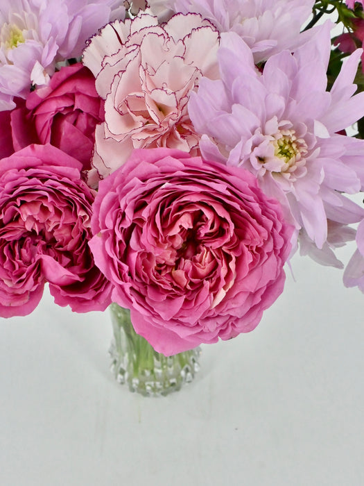 Cerise Bloom