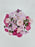 Cerise Bloom