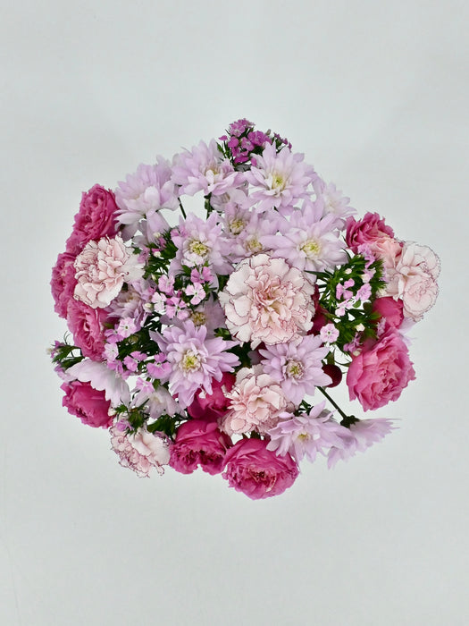 Cerise Bloom