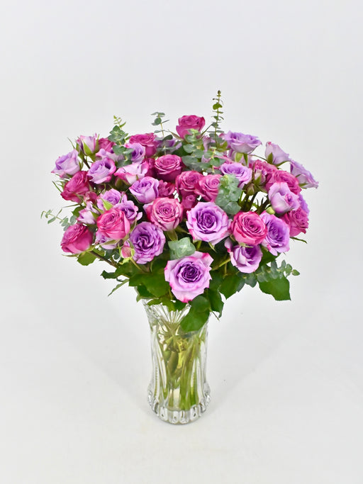 Purple Micado