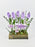 Marine Lilac Money Garden