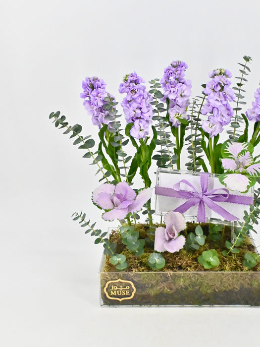 Marine Lilac Money Garden