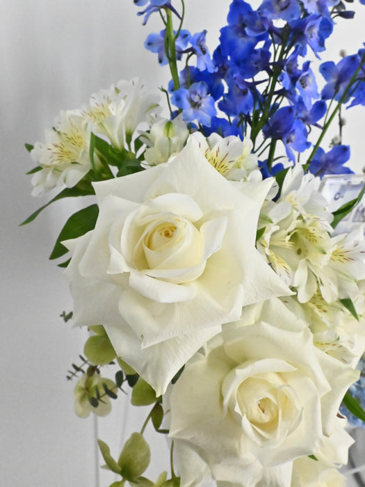 Little Blessings Money Bloom