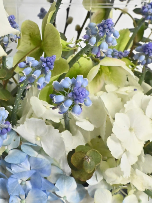 Little Blessings Money Bloom