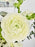 White Bloom Box