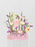 Papemelroti Money Arrangement