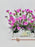 Pinky Money Arrangement
