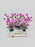 Pinky Money Arrangement