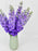 Luxurious Delphinium