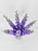 Luxurious Delphinium