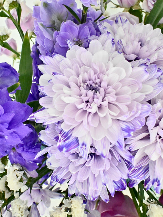 Periwinkle
