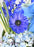 Azure Whisper Money Bloom