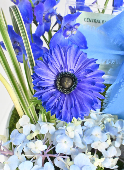 Azure Whisper Money Bloom